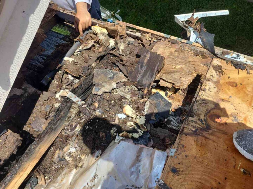 Damaged roof structure with rotting wood and debris, undergoing repair or inspection.